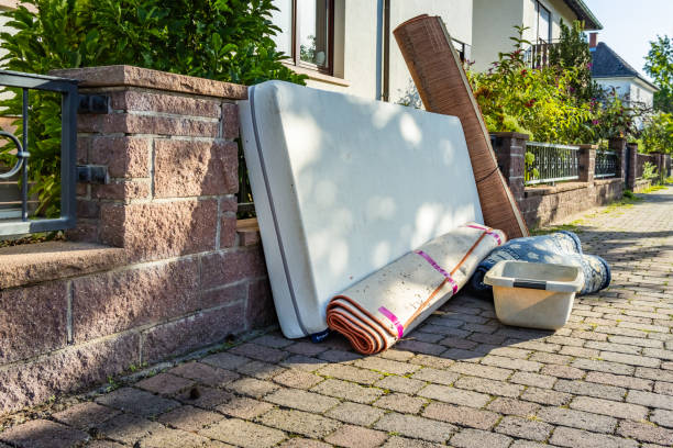 Best Junk Hauling Services  in Level Plains, AL