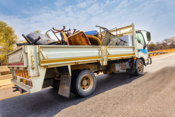 Best Office Junk Removal  in Level Plains, AL