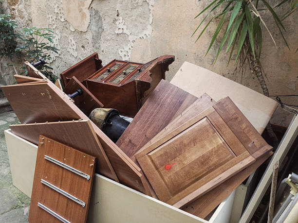 Best Residential Junk Removal  in Level Plains, AL